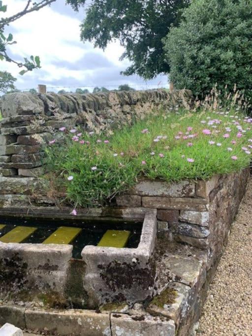 Ivy House Farm, Near Longnor Villa Longnor  ภายนอก รูปภาพ